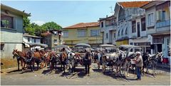 Büyükada - horsestation