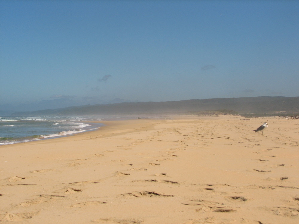 Buffalo Beach near Knysna