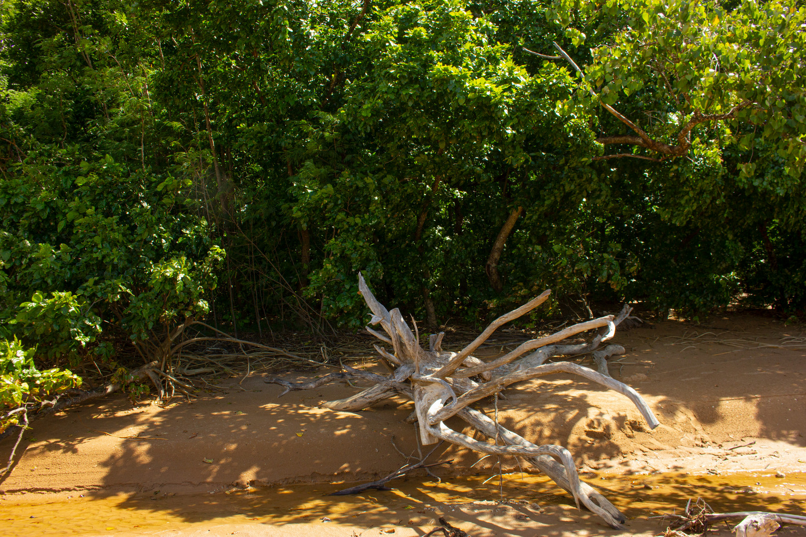 Buffalo Creek Beach