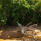 Buffalo Creek Beach