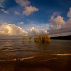 Buffalo Creek Beach