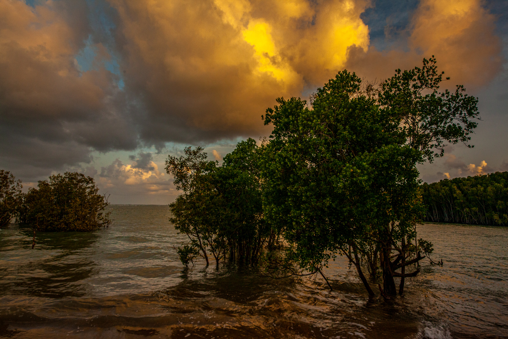 Buffalo Creek Beach