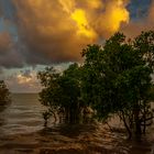 Buffalo Creek Beach