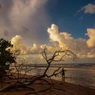 Buffalo Creek Beach