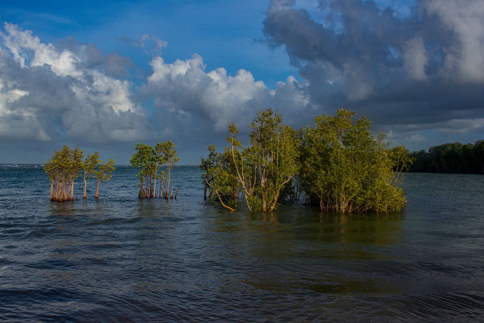 Buffalo Creek Beach (Floodet)