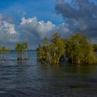 Buffalo Creek Beach (Floodet)