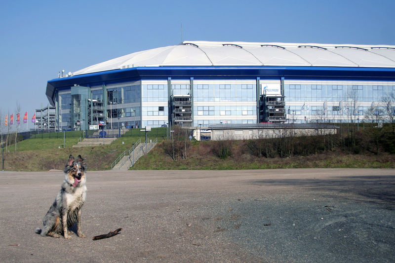 Buffy auf Schalke