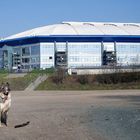 Buffy auf Schalke