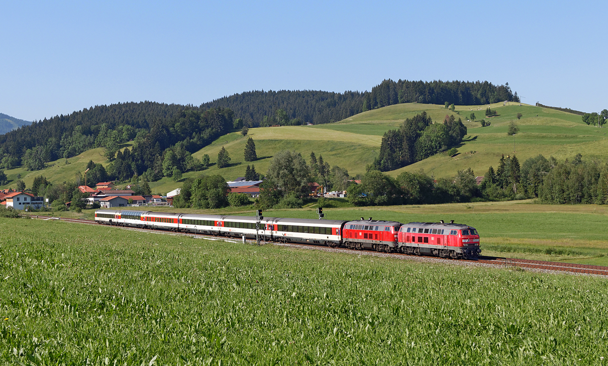 Buflings im Allgäu