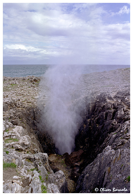 Bufón de Arenillas (Camino del Norte, 5)