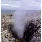 Bufón de Arenillas (Camino del Norte, 5)