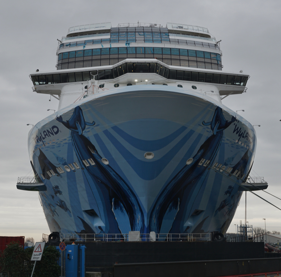 Bug der Norwegian Bliss von vorne