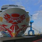  Bug der Norwegian JOY