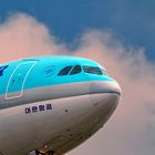 Bug eines Airbus A330-322 der Korean Air