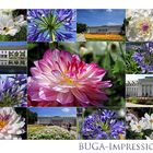 BUGA-IMPRESSIONEN