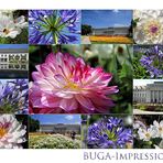 BUGA-IMPRESSIONEN