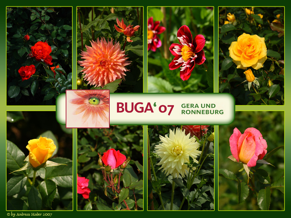 BUGA'07 (3)