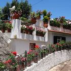 Bugalow auf Madeira