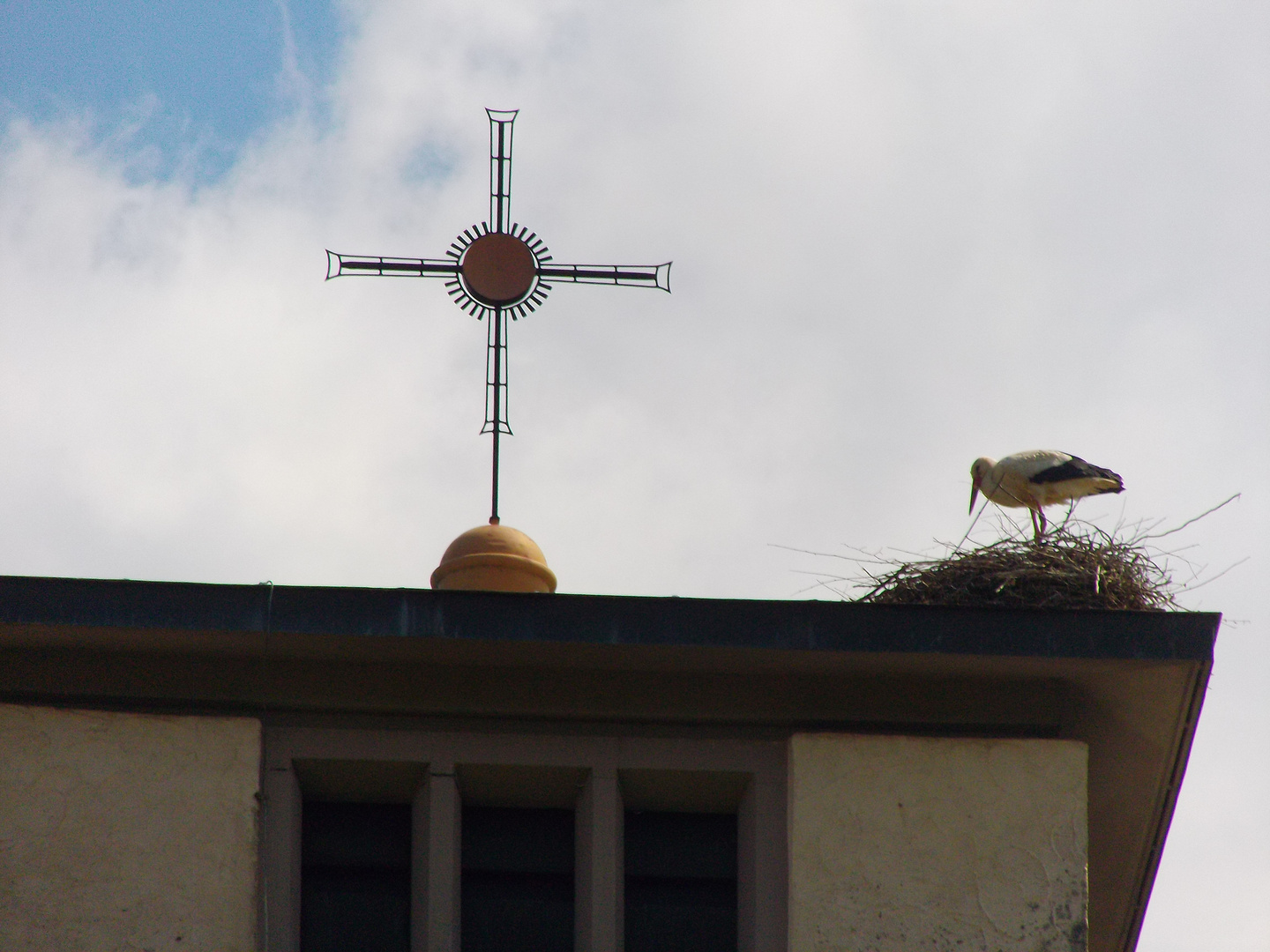 Bugginger Storch im steifen Nordwind