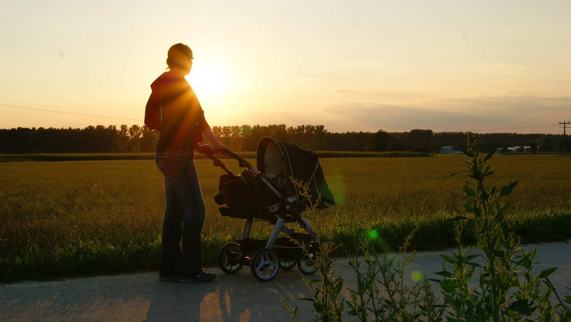 Buggy in the sunset