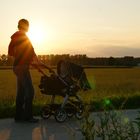 Buggy in the sunset