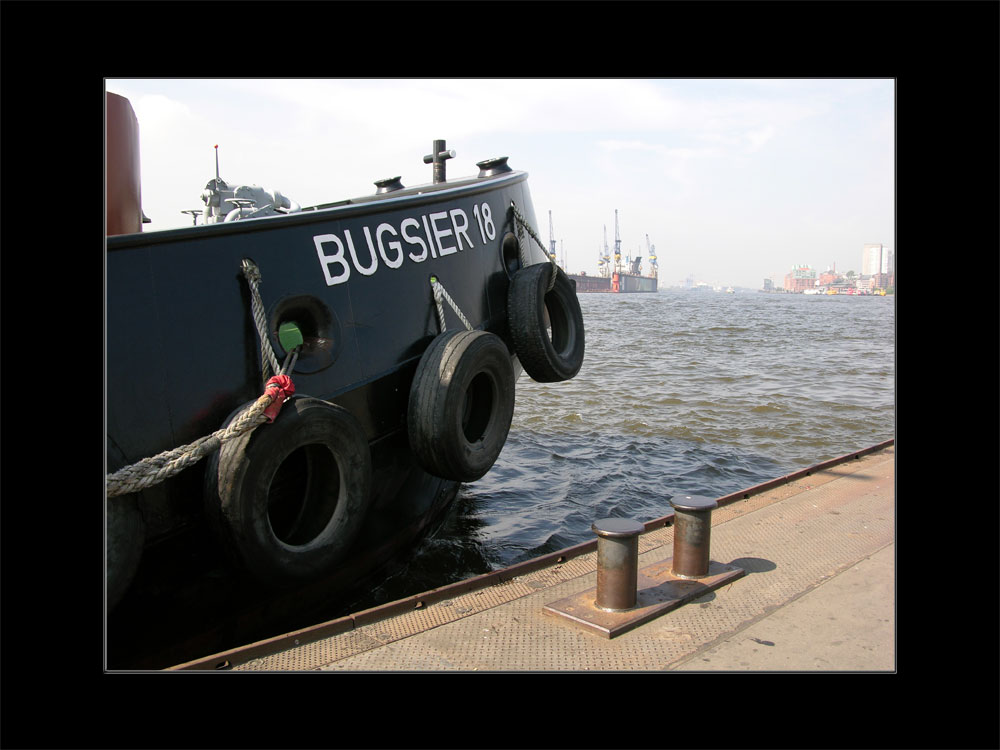 BUGSIER 18