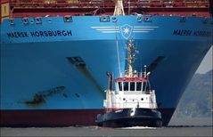 "BUGSIER 7" hat sich die "MAERSK HORSBURGH"...geschnappt...:)