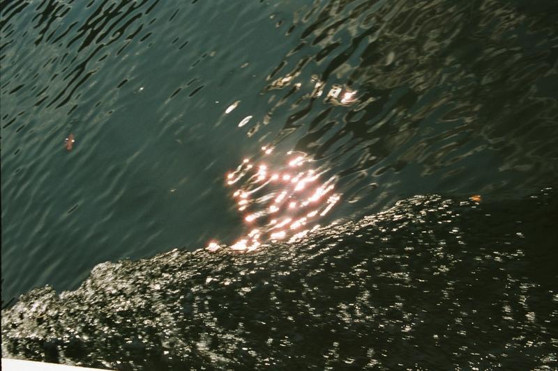 Bugwelle Foto & Bild sonstiges, wasser im detail, naturaufnahmen