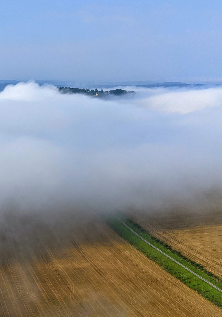 Bugwelle vor Festung Königstein