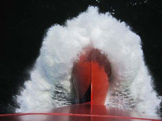 Bugwulst CONTAINERSHIPS VIII