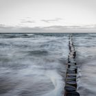 Buhen am Strand von Zingst (1)