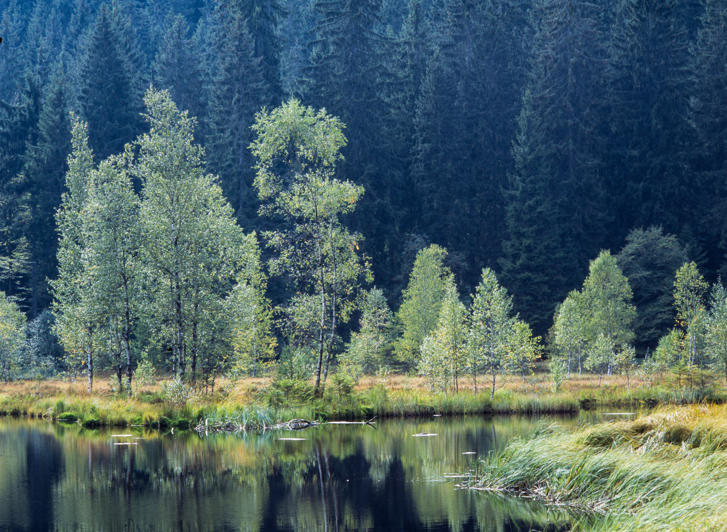 Buhlbachsee