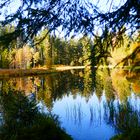 Buhlbachsee bei Baiersbronn/ Schwarzwald