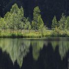 Buhlbachsee Black Forest