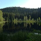 Buhlbachsee