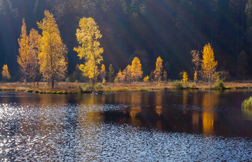 Buhlbachsee Herbst