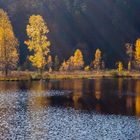 Buhlbachsee Herbst