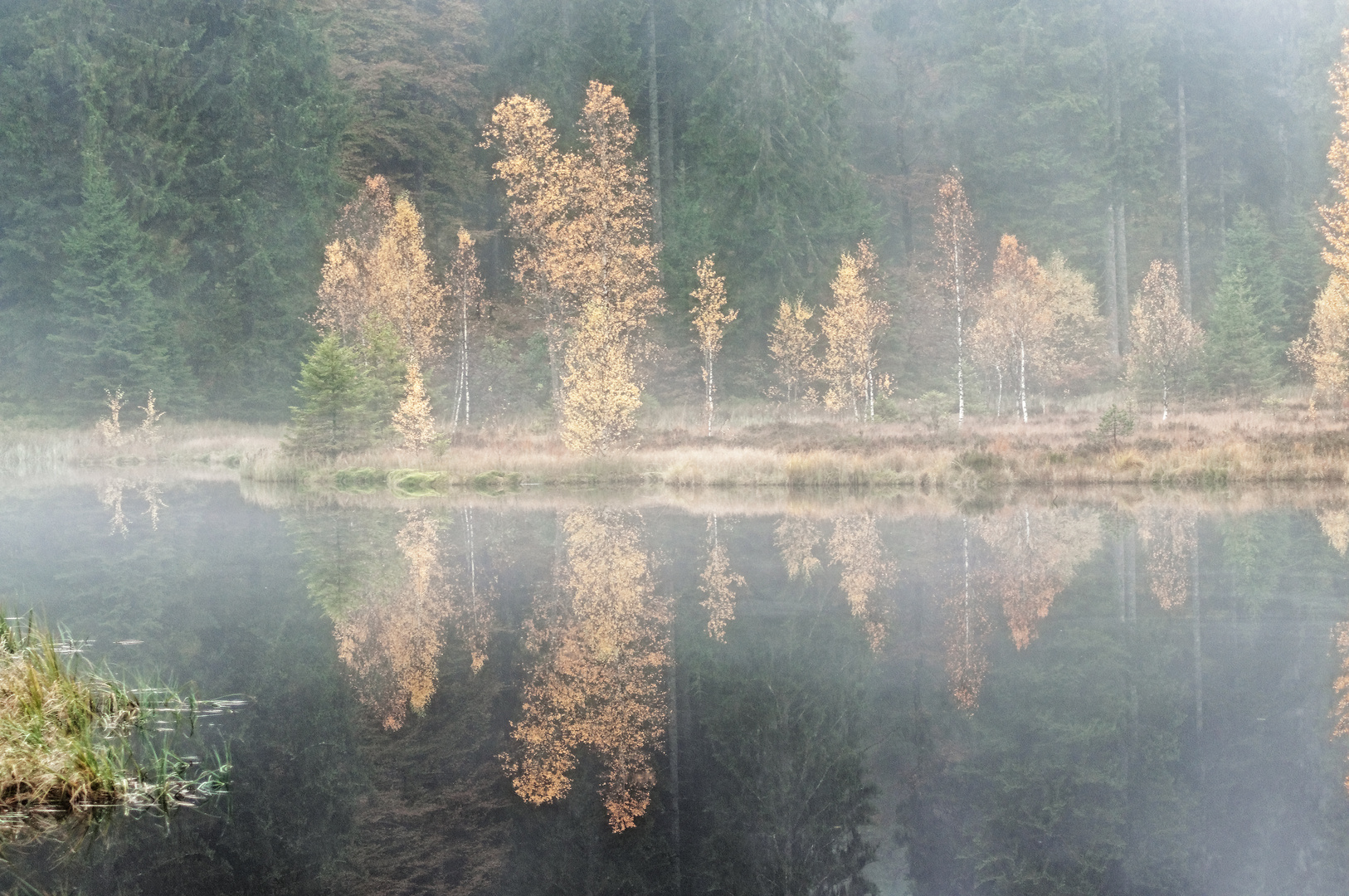 Buhlbachsee Nebel