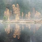 Buhlbachsee Nebel