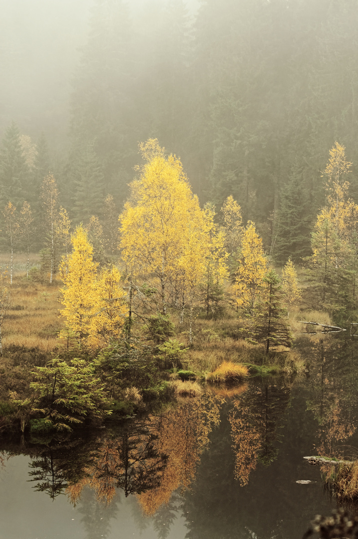 Buhlbachsee Nebel II