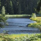 Buhlbachsee northern Black Forest