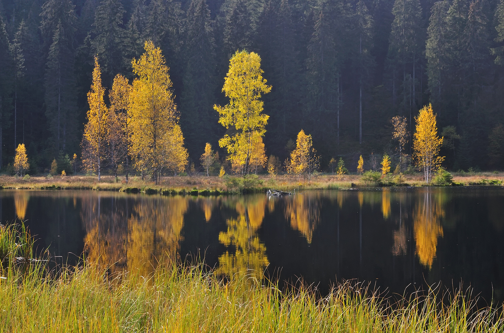 Buhlbachsee Oktober