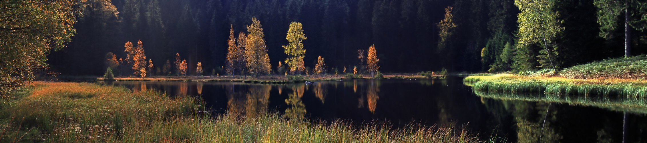 Buhlbachsee Panorama