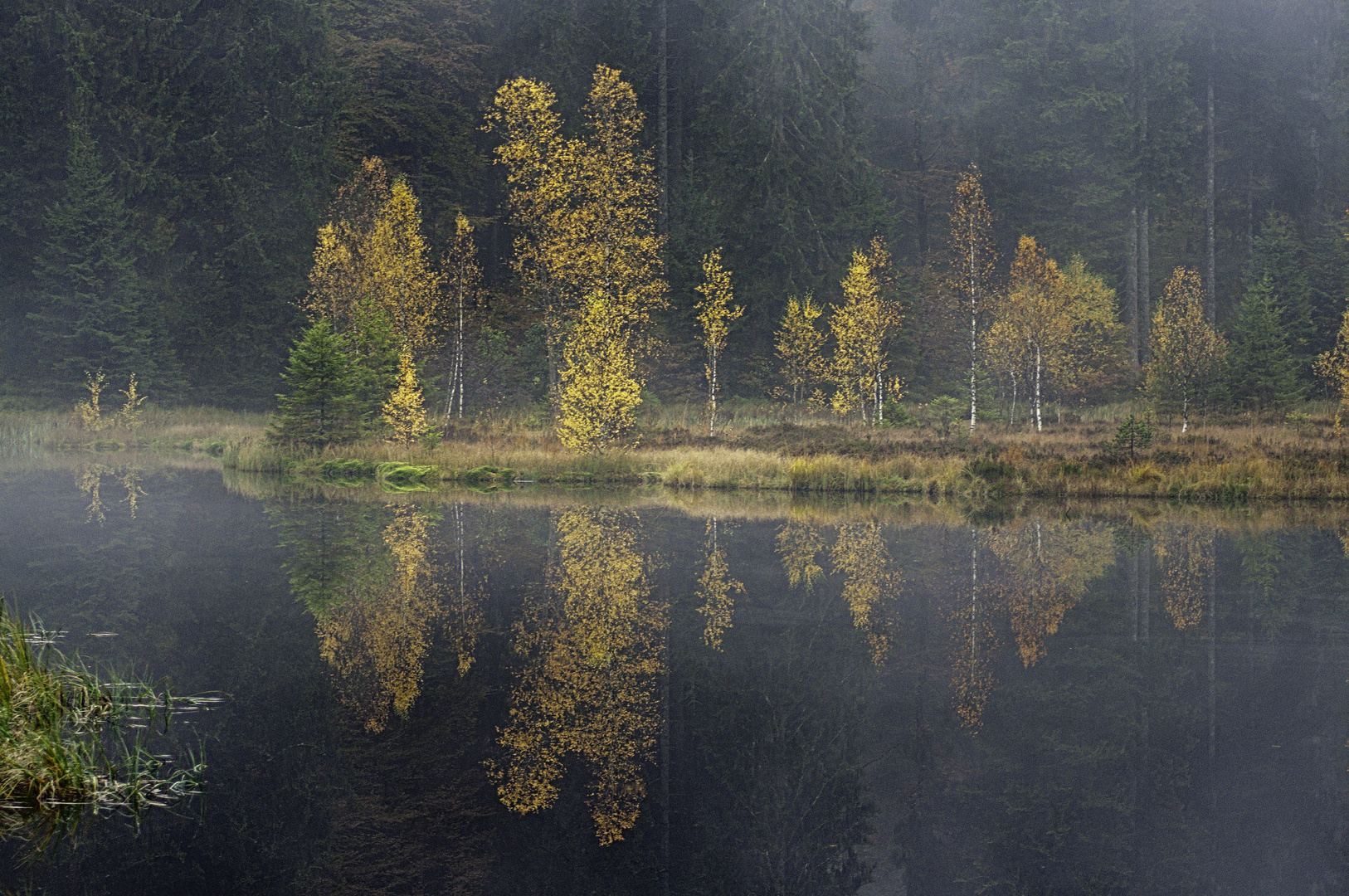 Buhlbachseeherbst