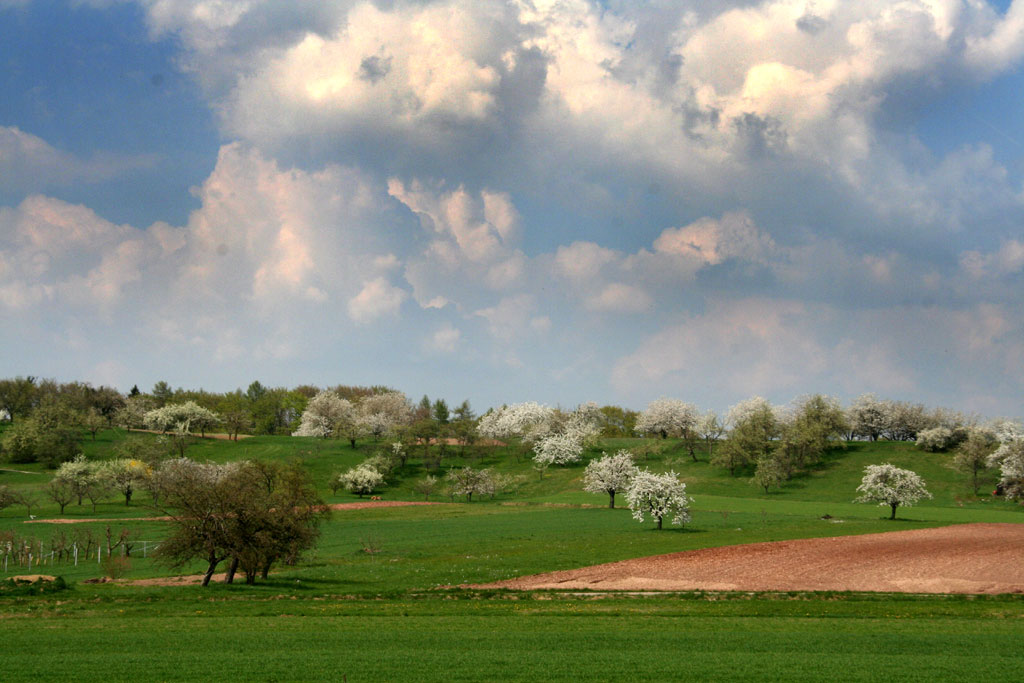 Buhlbronn Felder und Wolken