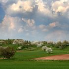 Buhlbronn Felder und Wolken