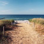 - Buhne 3 - (Zingst 15)