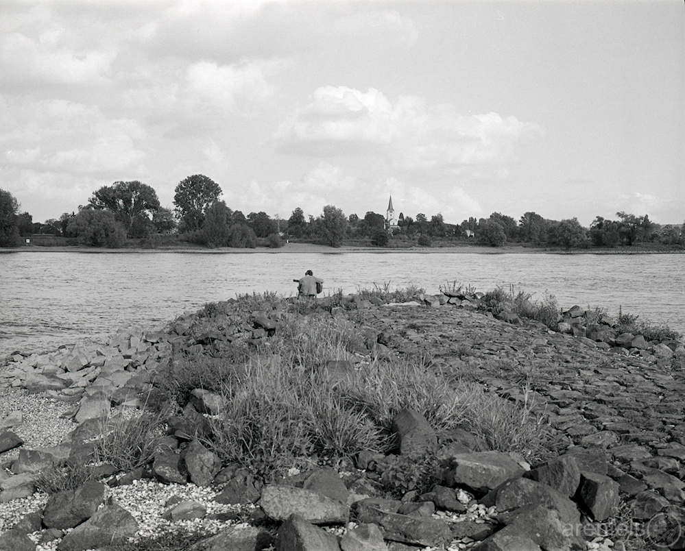 Buhne am Rhein #MAM7002010