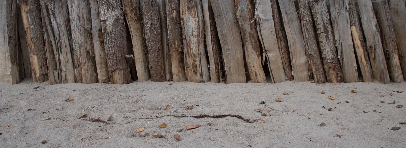 Buhne am Strand