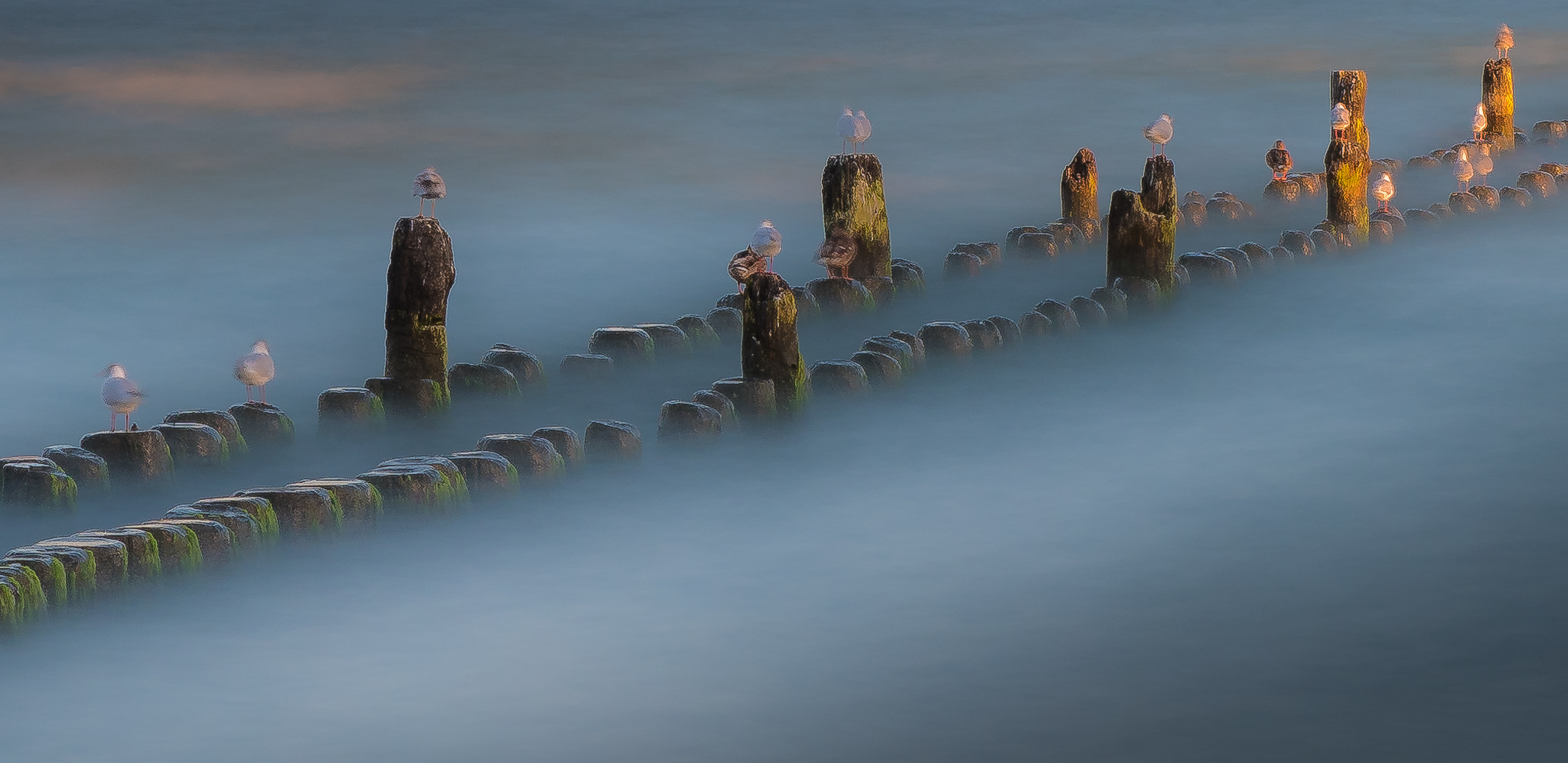 Buhne am Strand von Heringsdorf